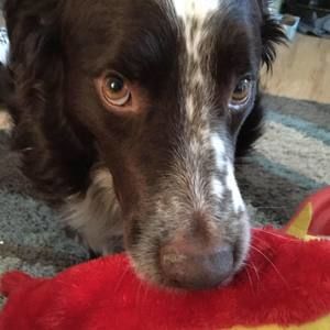 Meet your Posher, Caitlin